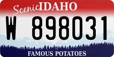 ID license plate W898031