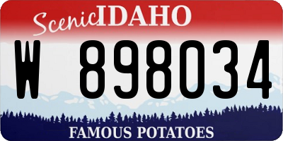 ID license plate W898034
