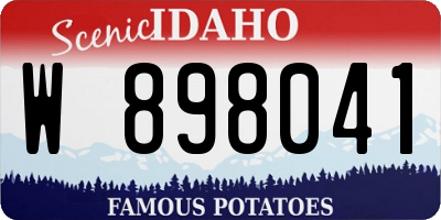 ID license plate W898041