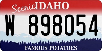 ID license plate W898054