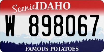 ID license plate W898067