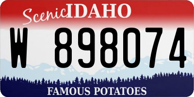 ID license plate W898074