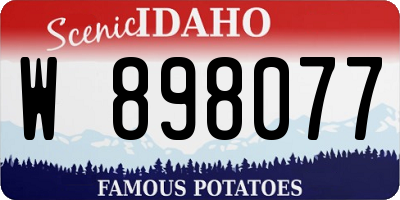 ID license plate W898077