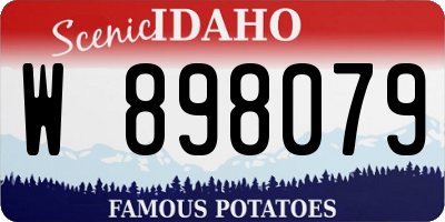 ID license plate W898079