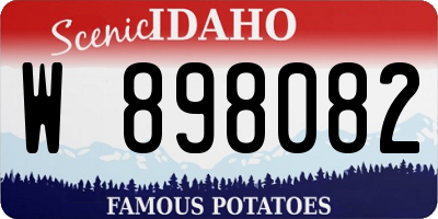 ID license plate W898082