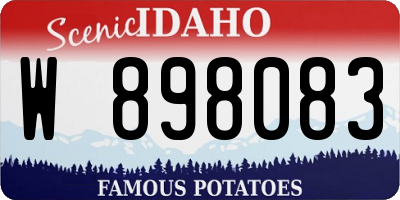 ID license plate W898083