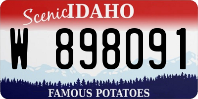 ID license plate W898091