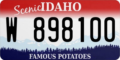 ID license plate W898100