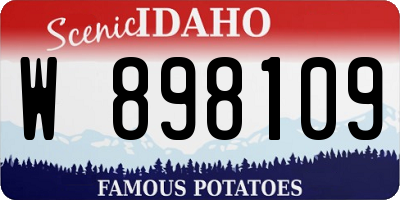 ID license plate W898109