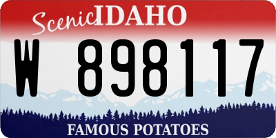 ID license plate W898117