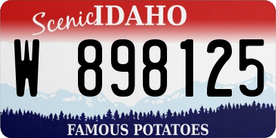 ID license plate W898125