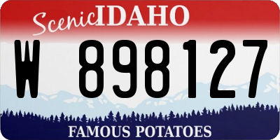 ID license plate W898127