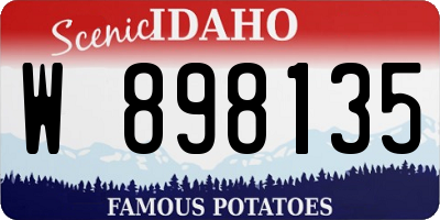ID license plate W898135