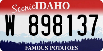 ID license plate W898137