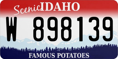 ID license plate W898139