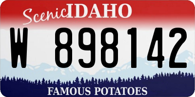 ID license plate W898142