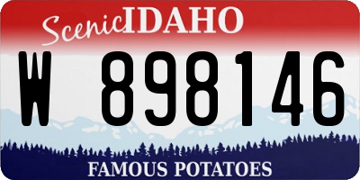 ID license plate W898146