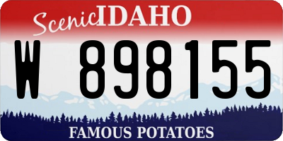 ID license plate W898155