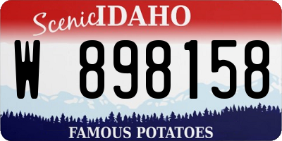 ID license plate W898158