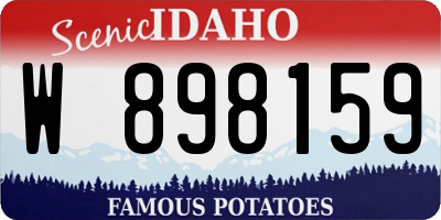 ID license plate W898159