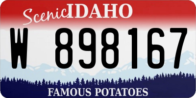 ID license plate W898167