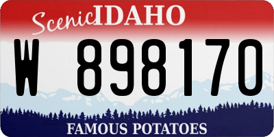 ID license plate W898170
