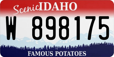 ID license plate W898175