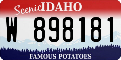 ID license plate W898181