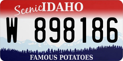 ID license plate W898186