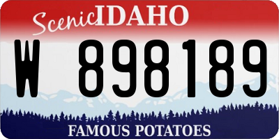 ID license plate W898189