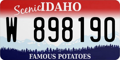ID license plate W898190