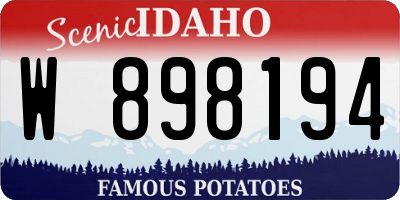 ID license plate W898194
