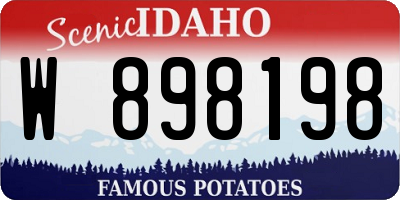 ID license plate W898198