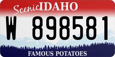 ID license plate W898581