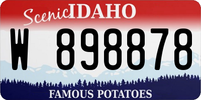 ID license plate W898878