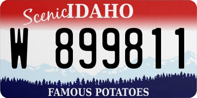 ID license plate W899811