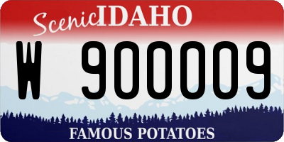 ID license plate W900009