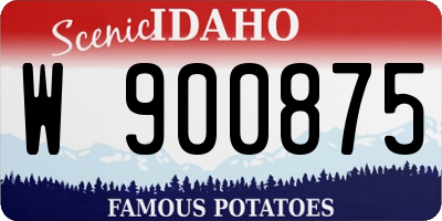 ID license plate W900875