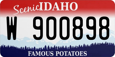 ID license plate W900898