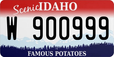ID license plate W900999