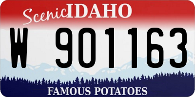 ID license plate W901163