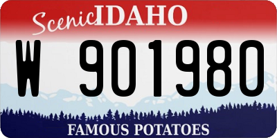 ID license plate W901980