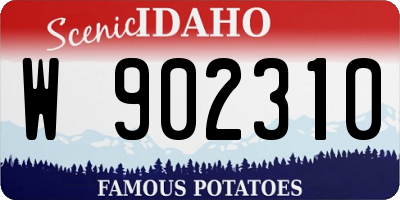 ID license plate W902310