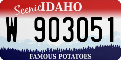 ID license plate W903051