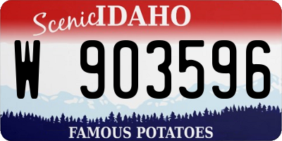 ID license plate W903596