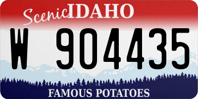 ID license plate W904435