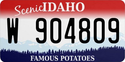 ID license plate W904809