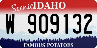 ID license plate W909132