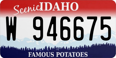 ID license plate W946675
