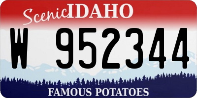 ID license plate W952344